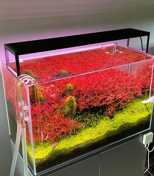 Chihiros-WRGB-II-Slim-LED-Light
