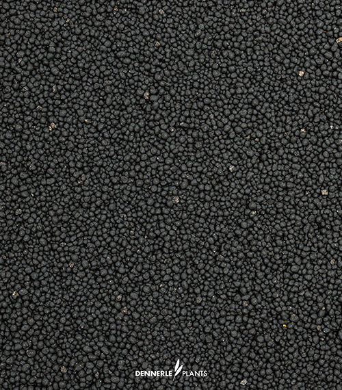 Dennerle Plants Soil
