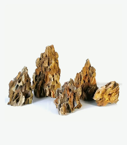 Dragon Stone (Ohko Stone)