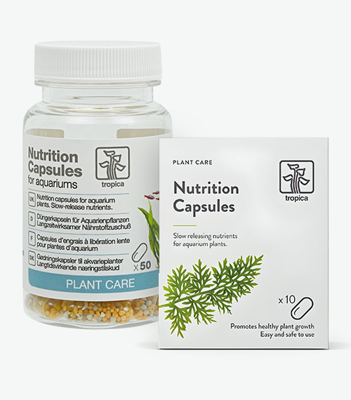 Tropica Nutrition Capsules