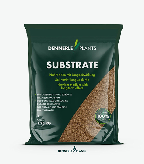 dennerle-plants-substrate