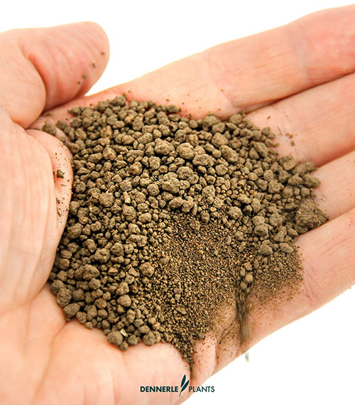 Dennerle Plants Substrate