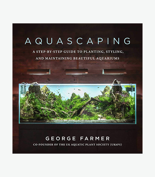 Aquascaping: A Step-by-Step Guide to Planting, Styling, and Maintaining Beautiful Aquariums